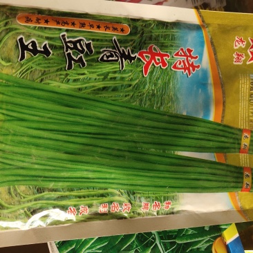 特长青豆角中早熟，条细长产量高长达一米多，生育期100天