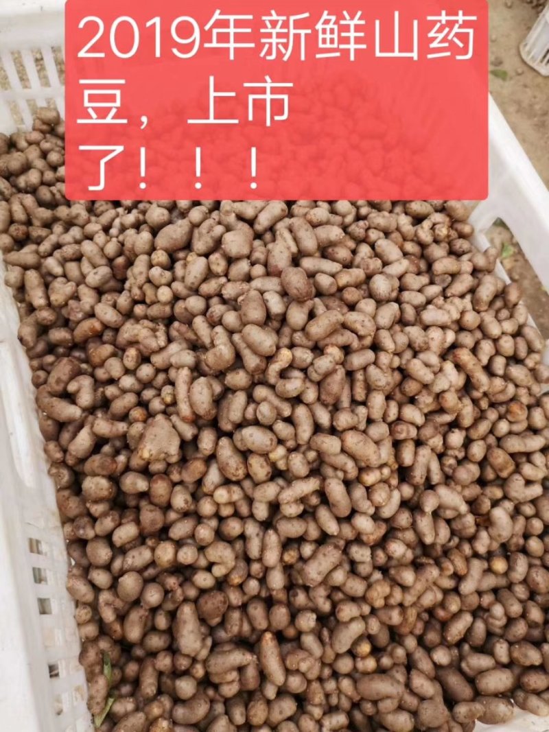 山药豆
