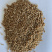 优质龙麦35