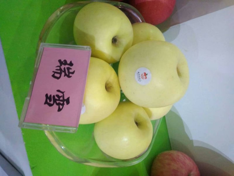供应苹果苗，嫁接苗，实生苗，砧木苗