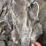 福建深海海带皮海带可视频看货上门提货