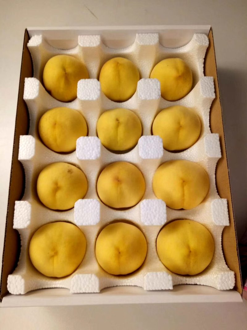 供应桃苗，成品苗，实生苗