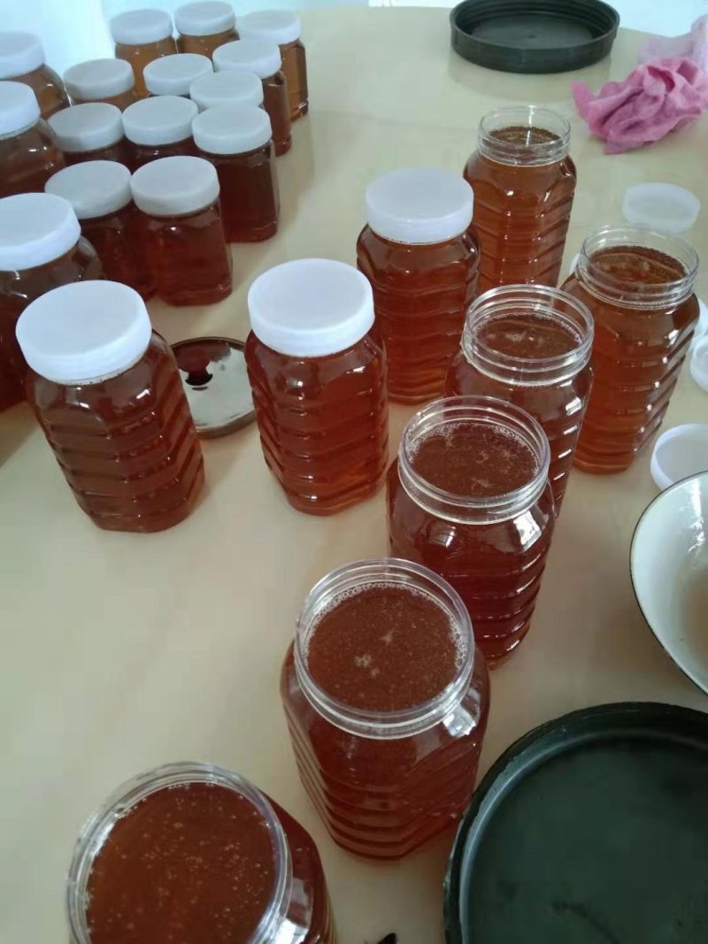 极品蜂蜜