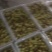 鲜枣脆枣沾化冬枣电商，社区团购，微商一件代发！