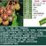 软枣猕猴桃猕猴桃树苗奇异莓包品种包挂果签合同