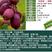 软枣猕猴桃猕猴桃树苗奇异莓包品种包挂果签合同