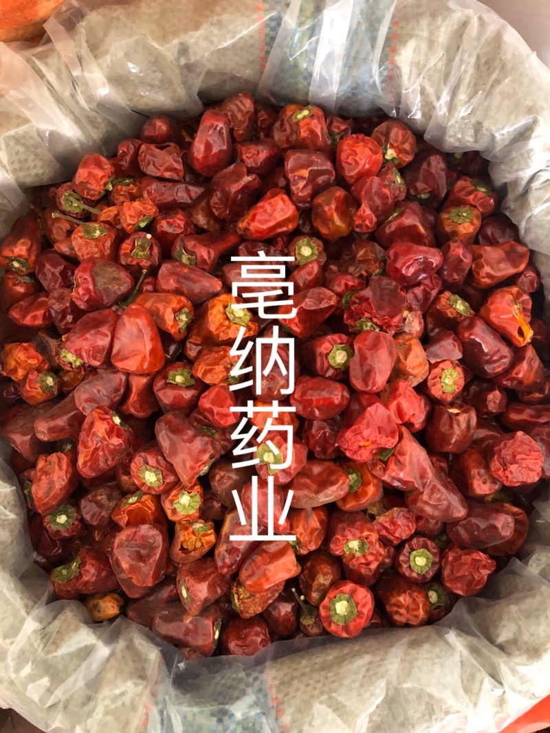 灯笼椒中辣特香灯笼椒贵州特产干辣椒海椒一公斤起批
