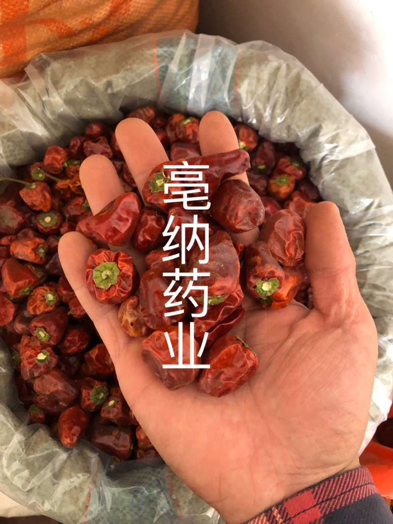 灯笼椒中辣特香灯笼椒贵州特产干辣椒海椒一公斤起批