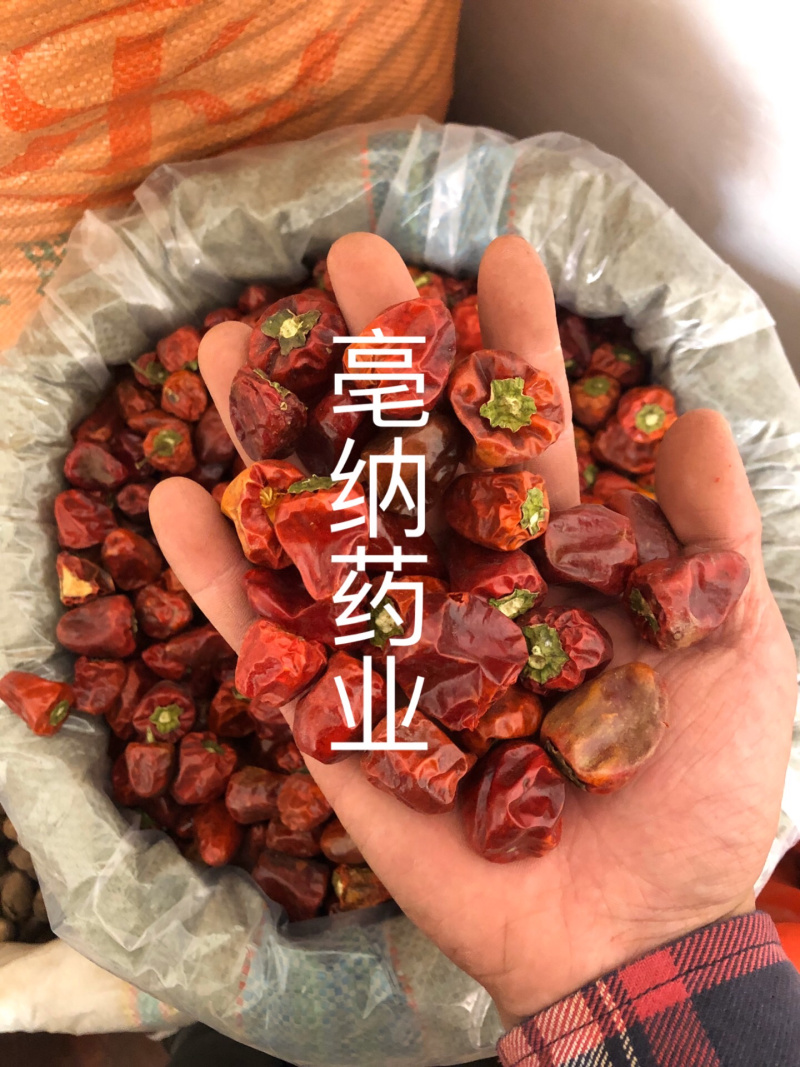 灯笼椒中辣特香灯笼椒贵州特产干辣椒海椒一公斤起批