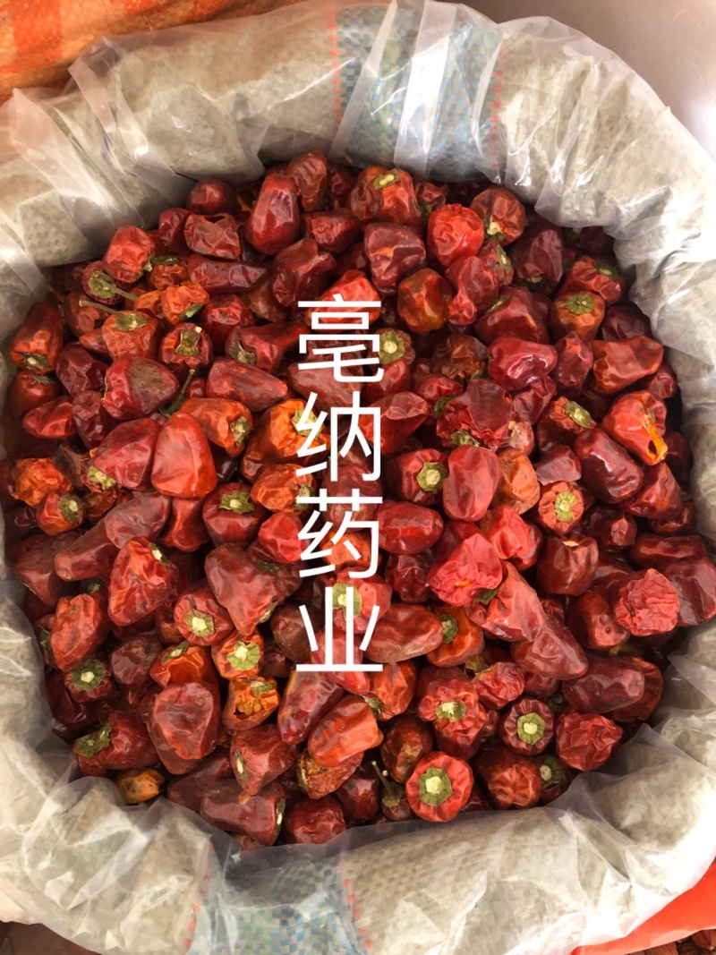 灯笼椒中辣特香灯笼椒贵州特产干辣椒海椒一公斤起批