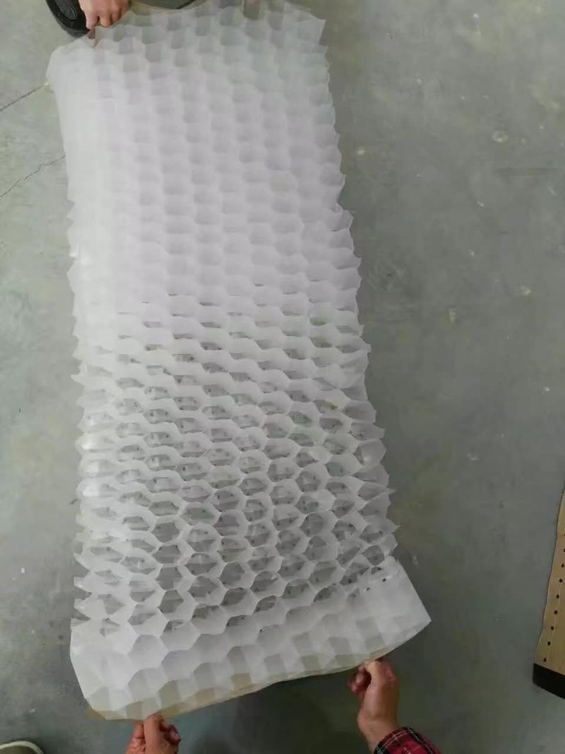 PE连体蜂窝育苗袋快速装土蜂窝状育苗容器育苗袋