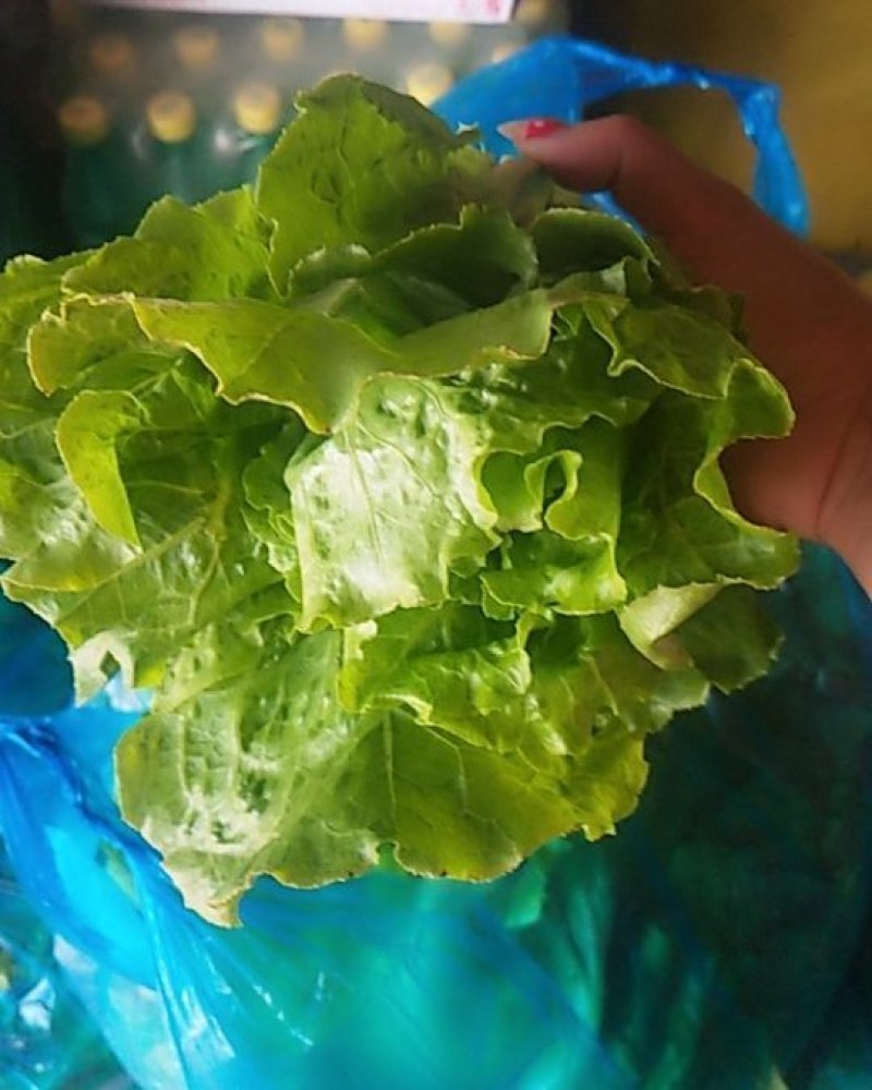 生菜