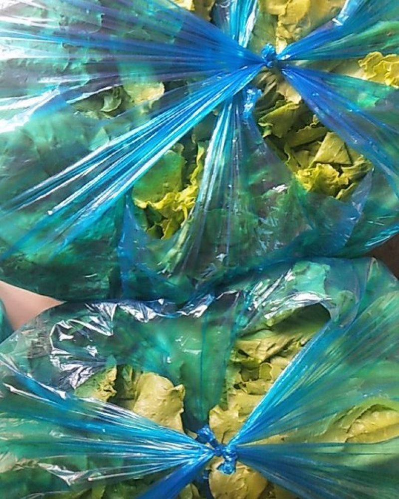 生菜