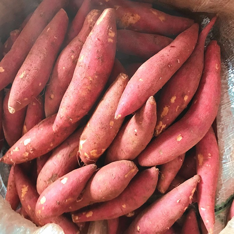 地瓜红红薯，地瓜。