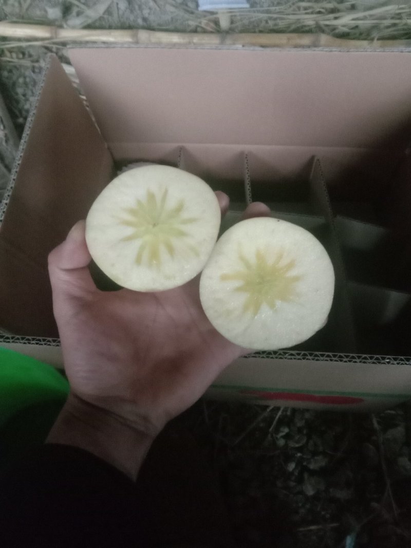 昭通苹果