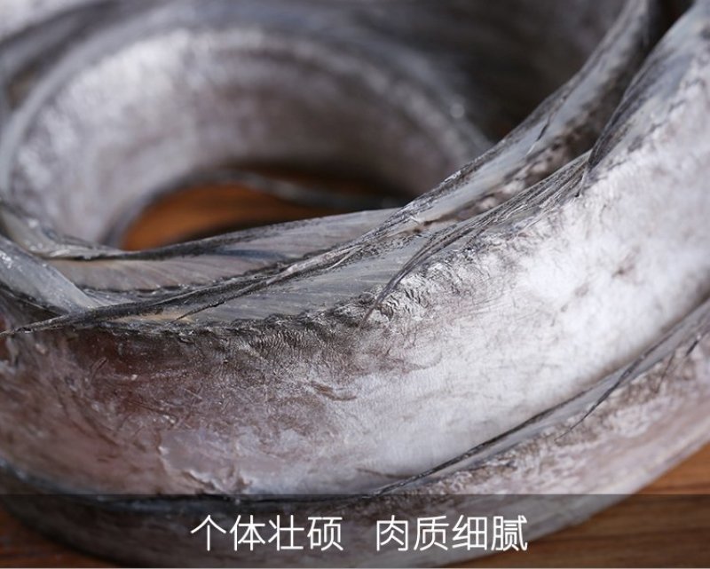 【聚便宜】新鲜东海小眼睛带鱼船冻码头直发