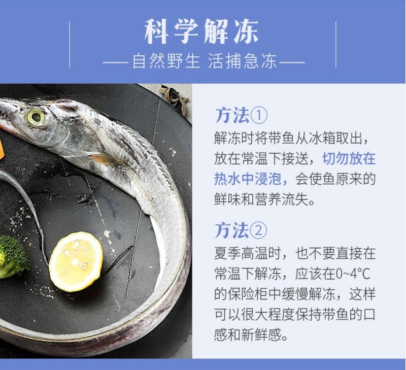 【聚便宜】新鲜东海小眼睛带鱼船冻码头直发