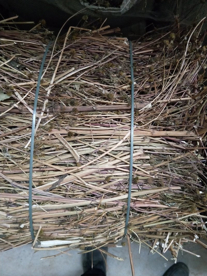 鬼针草，产地直发，量大从优，诚信经营，保质保量，欢迎来电咨询