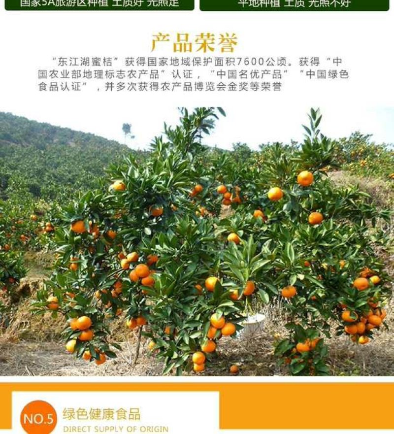 东江湖清江蜜橘(代收、电商合作)
