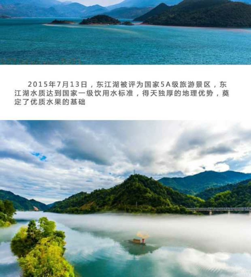 东江湖清江蜜橘(代收、电商合作)