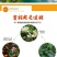 东江湖清江蜜橘(代收、电商合作)