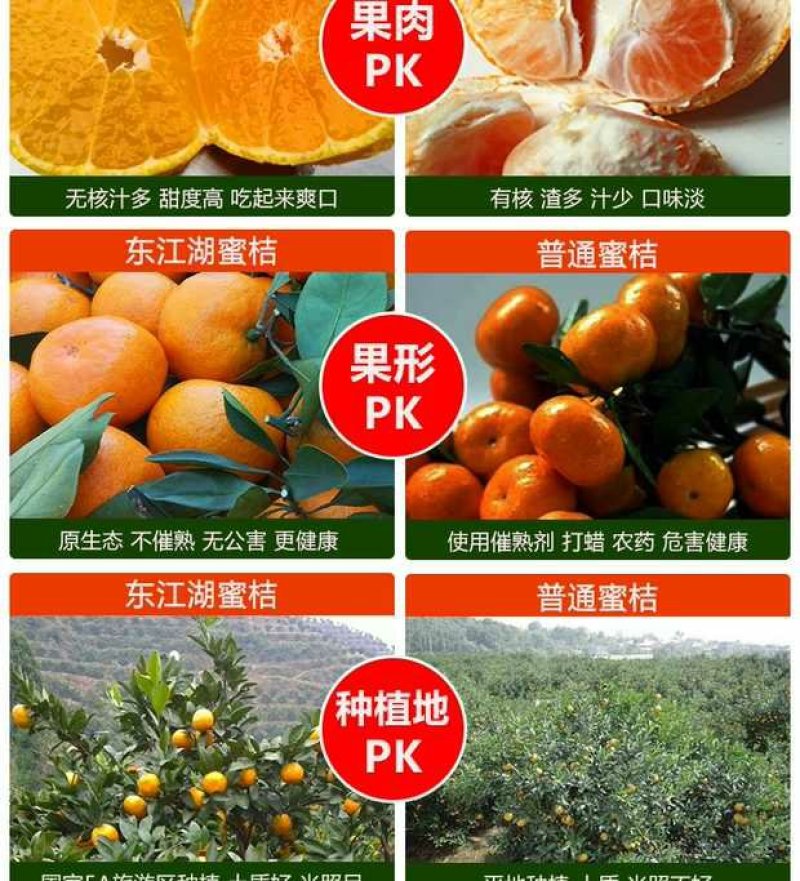 东江湖清江蜜橘(代收、电商合作)