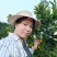 东江湖清江蜜橘(代收、电商合作)