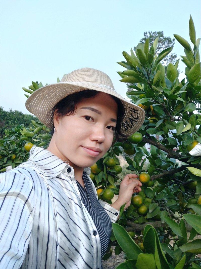 东江湖清江蜜橘(代收、电商合作)