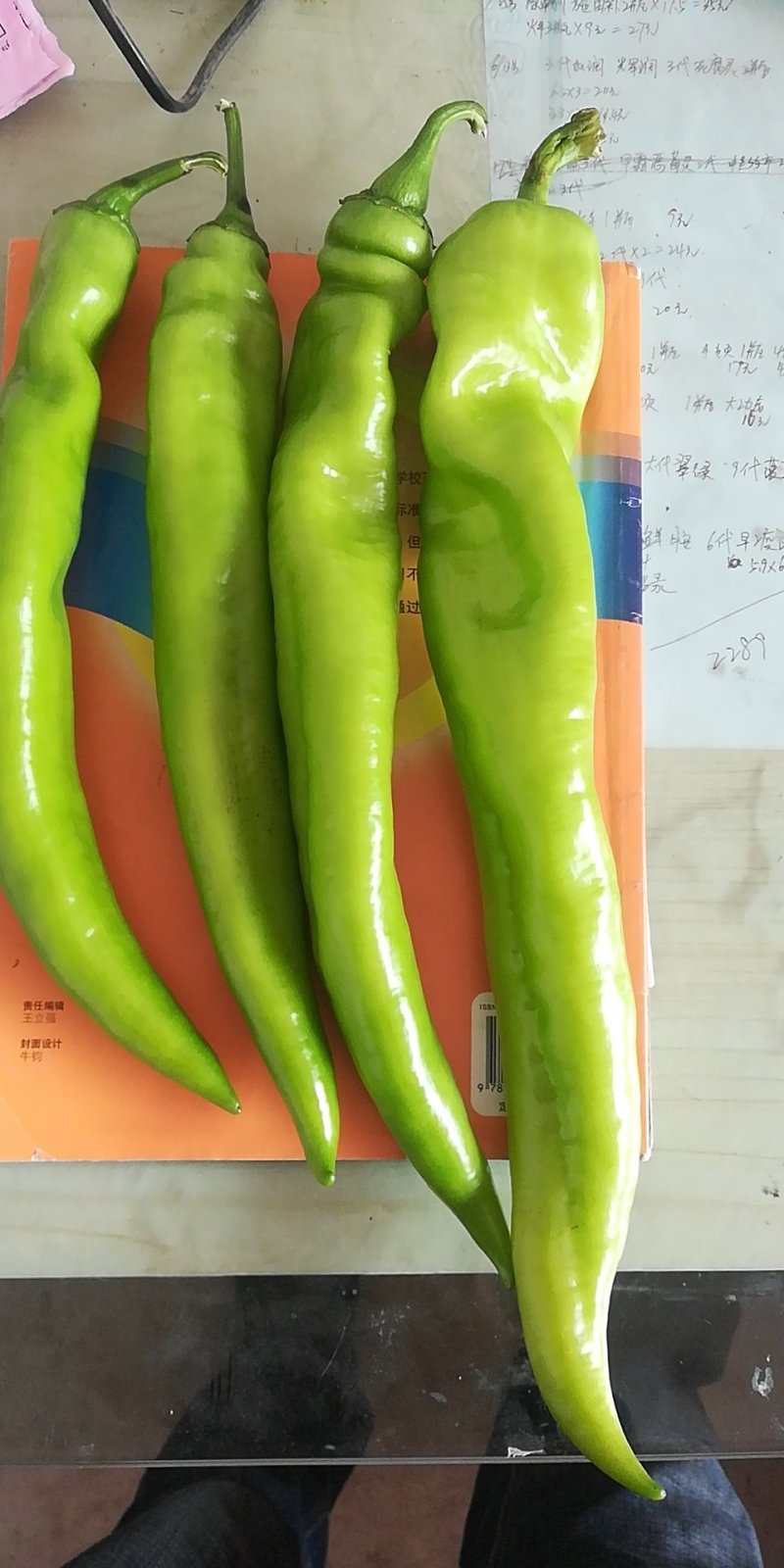 黄皮辣椒