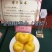 山东烟台脱毒蟠桃苗，油蟠苗黄桃苗等