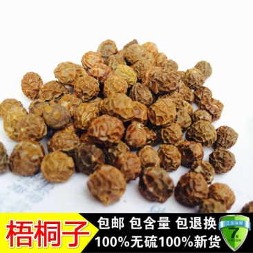 油桐籽
