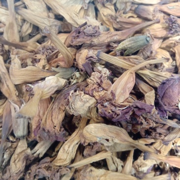 凌霄花1公斤起批不包邮量大电议