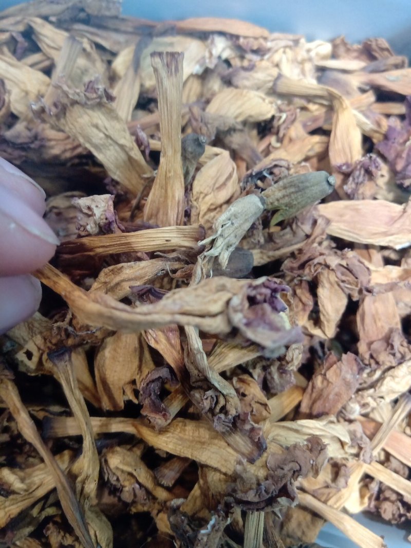 凌霄花1公斤起批不包邮量大电议