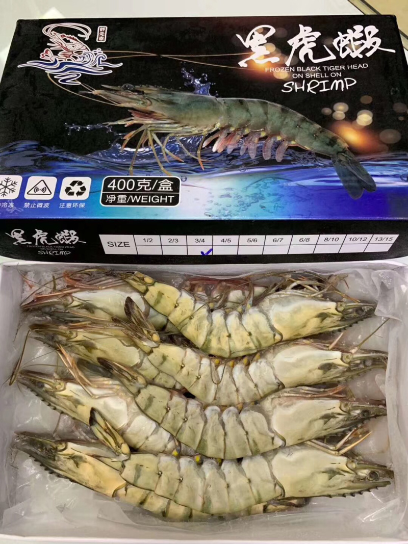 一手货源野生黑虎虾大批量到货