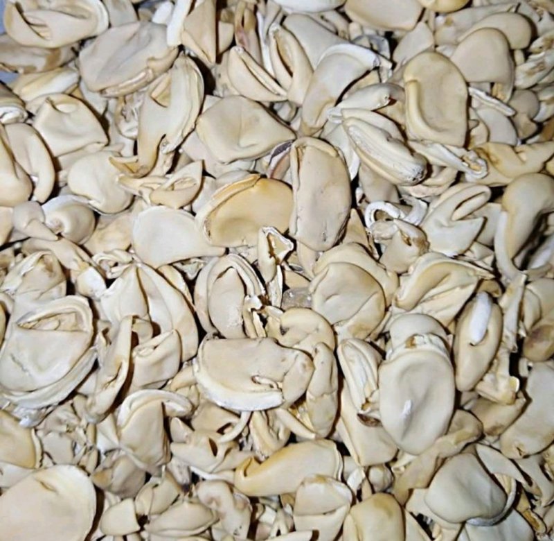 扁豆衣冷背药材白扁豆白扁豆皮货好量大