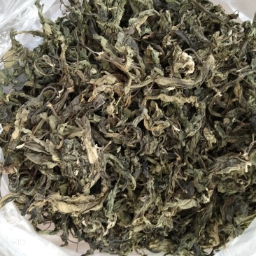 正宗马来西亚南非叶树苗干叶茶将军叶，自然晒干