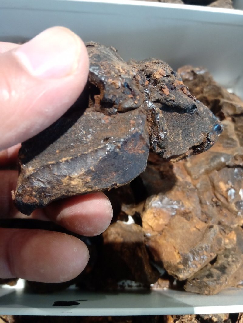 儿茶1公斤起批不包邮量大电议欢迎咨询各种中药材