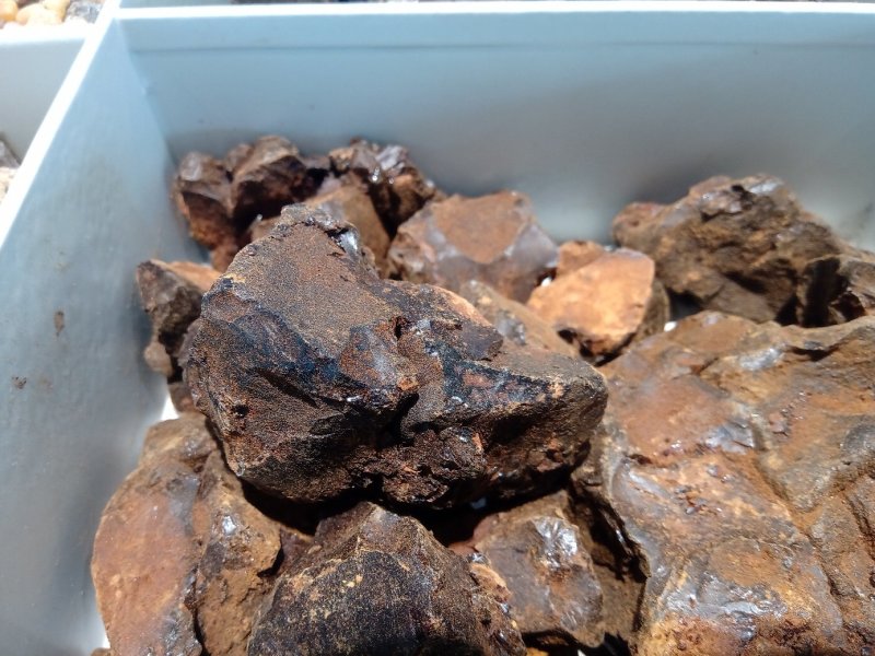 儿茶1公斤起批不包邮量大电议欢迎咨询各种中药材
