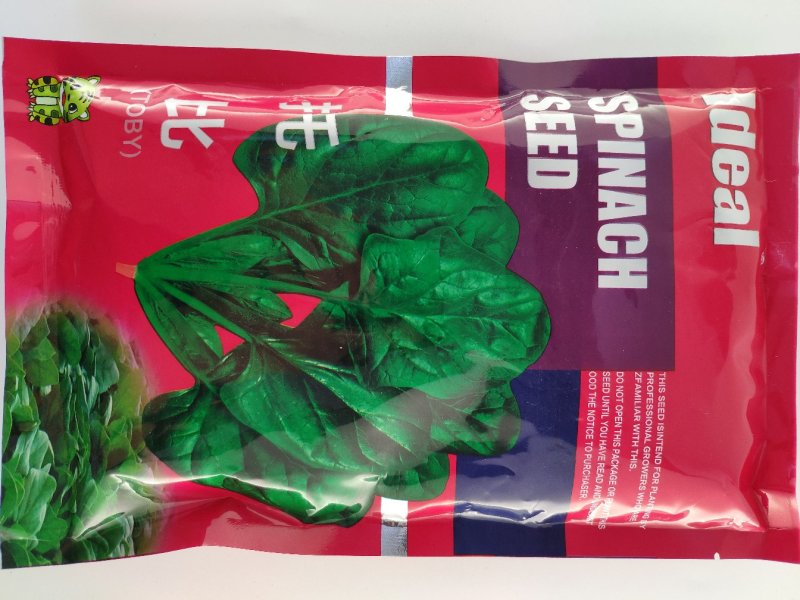 黑圆叶耐寒耐热菠菜种籽春秋越冬红根菠菜种子原袋发货