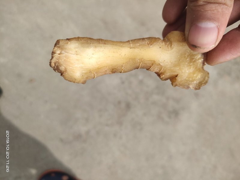 黄精片，鸡头黄精片无硫足干成色好无杂质