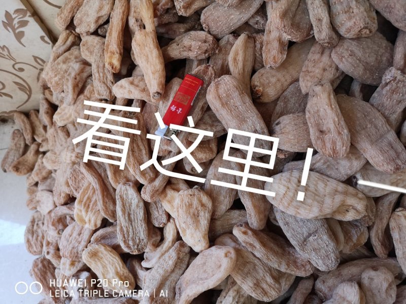 天麻