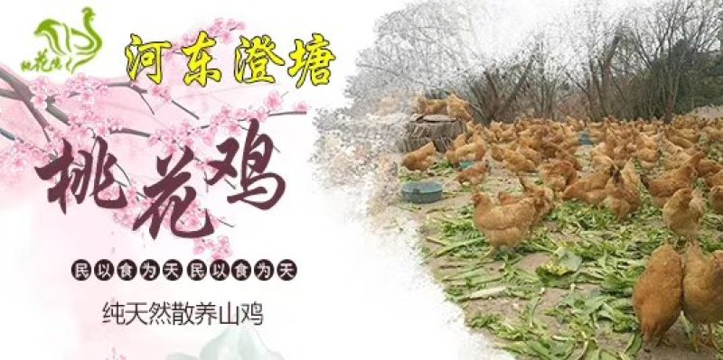 桃花鸡蛋