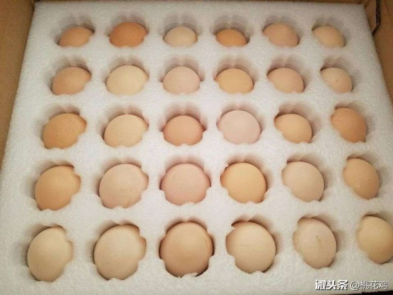 桃花鸡蛋