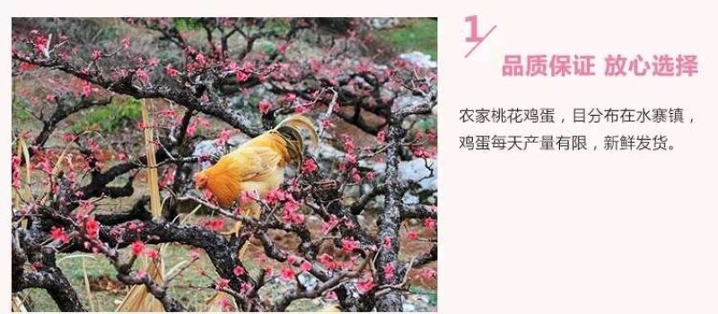 桃花鸡蛋