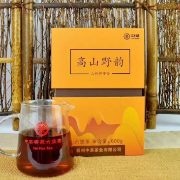 梧州中茶六堡茶