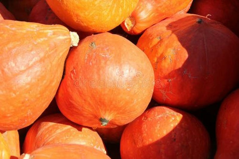 红南瓜