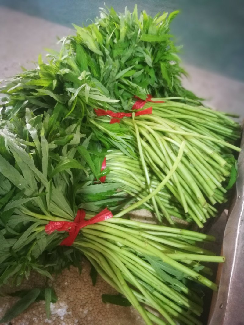 一件代发新鲜藜蒿芦蒿黎蒿蒌蒿泥蒿嫩带叶3斤泡沫箱冰袋
