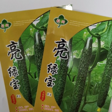 【亮绿宝】一代杂交黄瓜种子早熟特抗高温高湿密刺油亮大田用