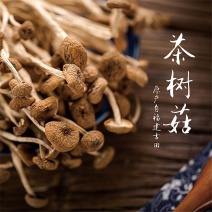 新货茶树菇干货500g不开伞农家自产无硫茶薪菇