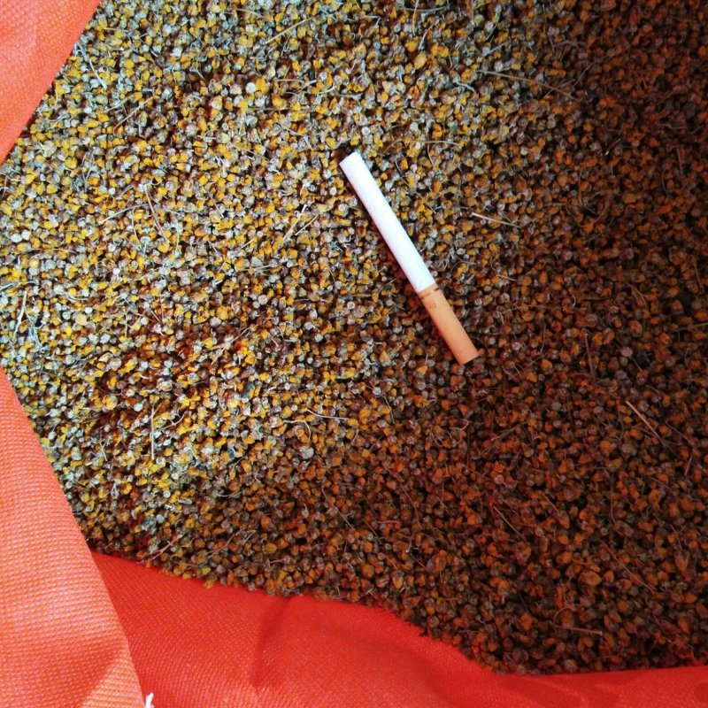 高含量野菊花，天然无硫，纯野生